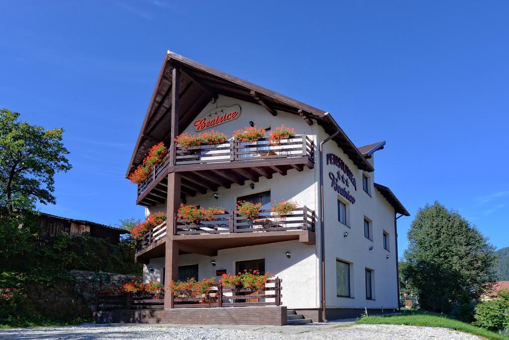 Pensiunea Beatrice Vatra Dornei Exterior photo