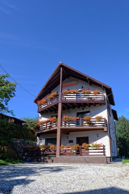 Pensiunea Beatrice Vatra Dornei Exterior photo